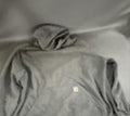 Carhartt gray pullover hoodie men's 3XL source photo